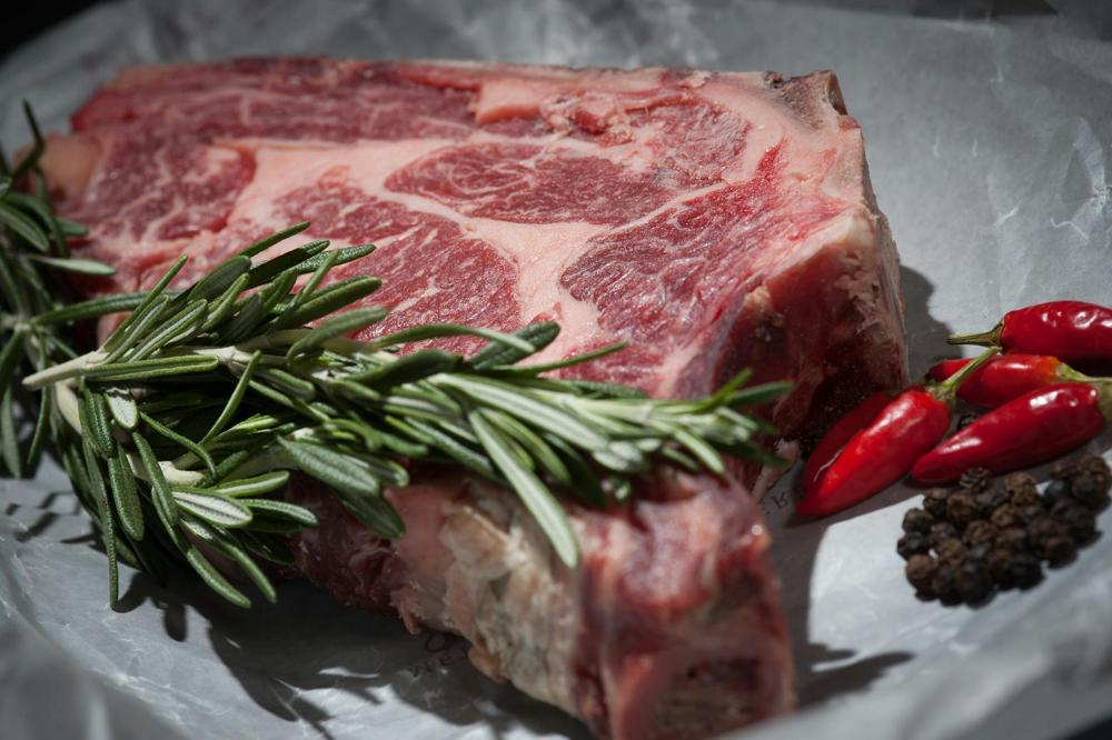 Protein food