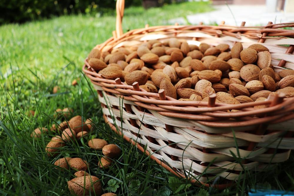 almond preparation