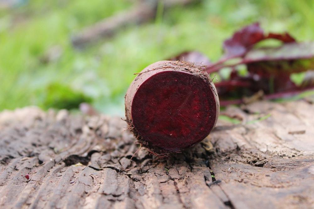 beetroot soup