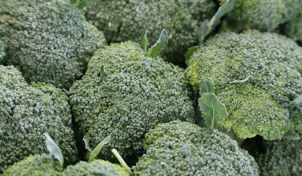 breadcrumbed broccoli