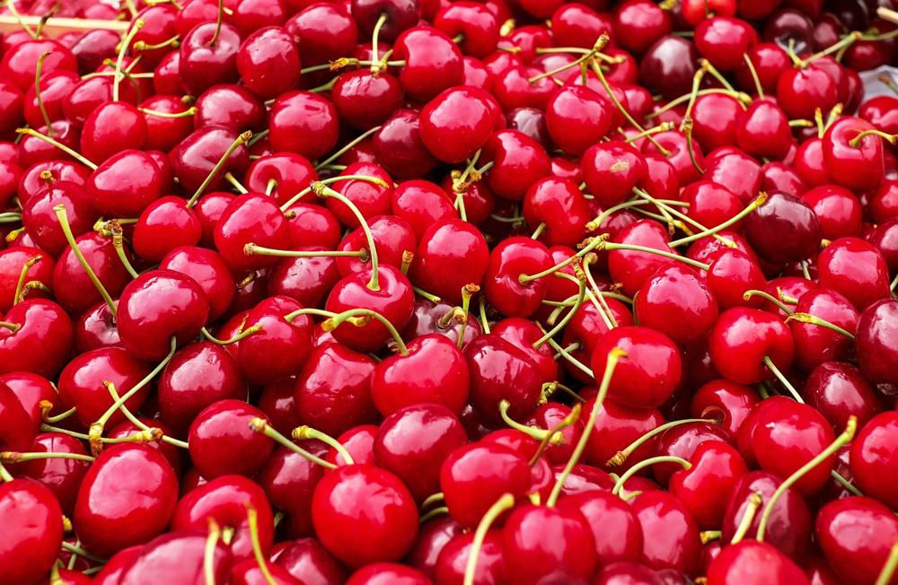 fresh cherries