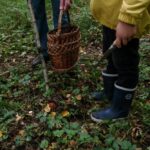 Jak złagodzić ostrość potrawy: skuteczne techniki i składniki