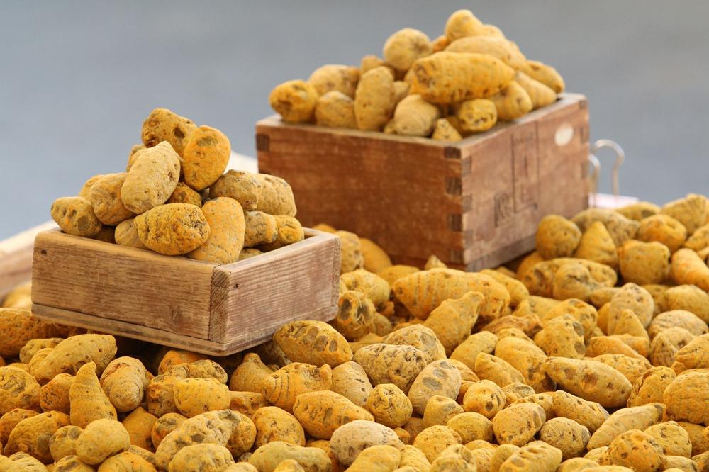 turmeric dishes